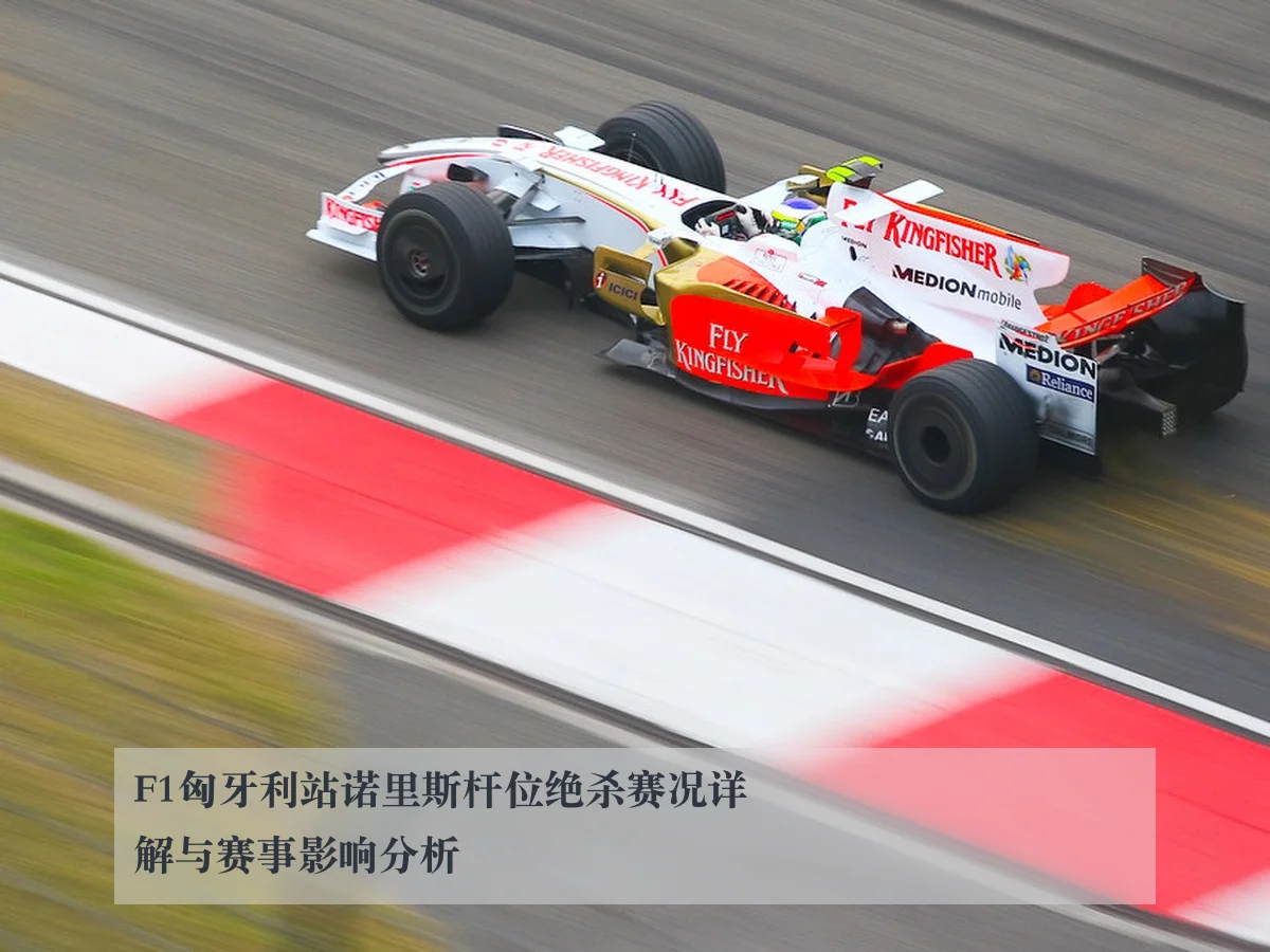 F1匈牙利站诺里斯杆位绝杀赛况详解与赛事影响分析（ayx）